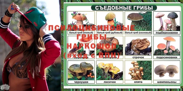 твердый Гусь-Хрустальный