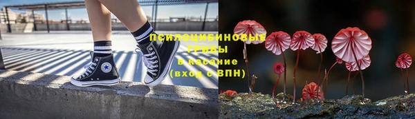 твердый Гусь-Хрустальный