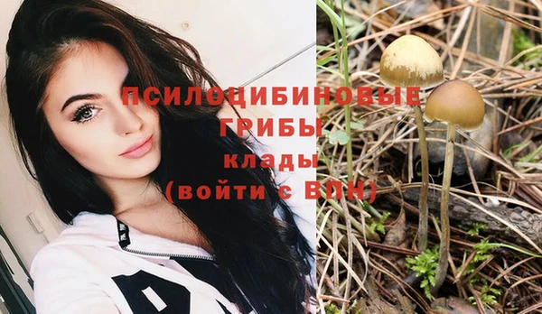 твердый Гусиноозёрск