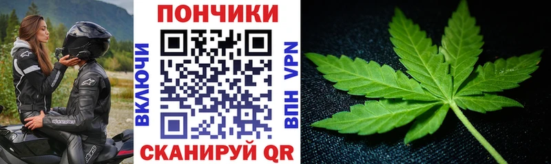 Конопля план  наркошоп  маркетплейс состав  Дегтярск 